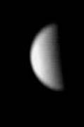 Half-Venus