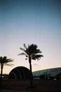 Venus and Bibliotheca Alexandrina