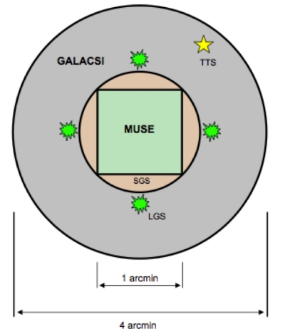 muse_wfm.jpg muse_wfm.jpg